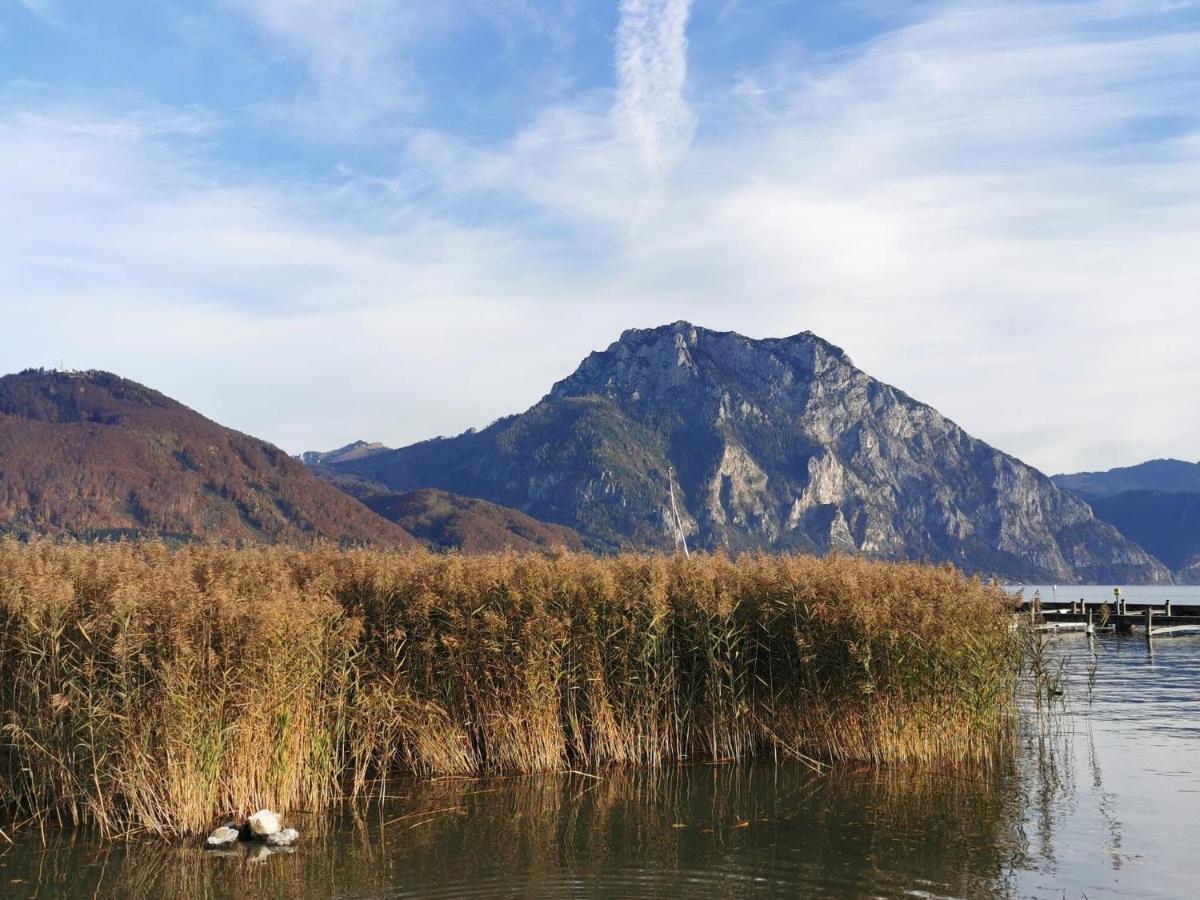 Apartment Traunsee Panorama, Altmunster Am Traunsee Экстерьер фото
