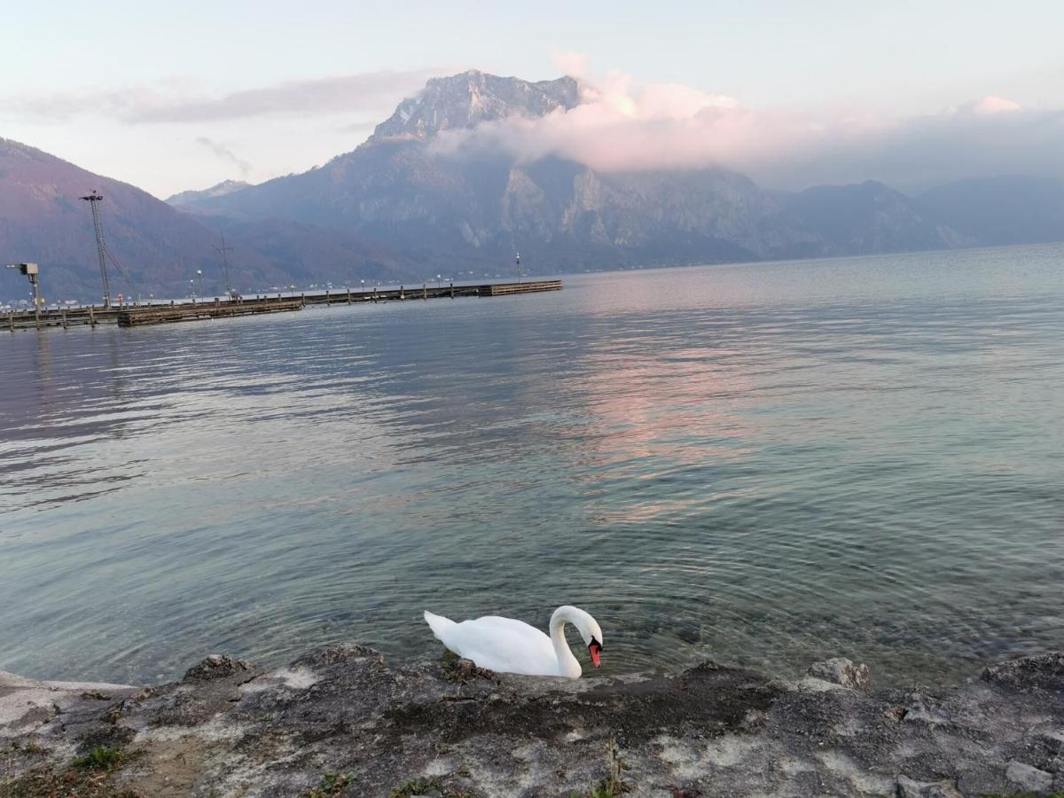 Apartment Traunsee Panorama, Altmunster Am Traunsee Экстерьер фото